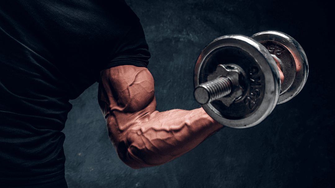 Steroid Sanctuary